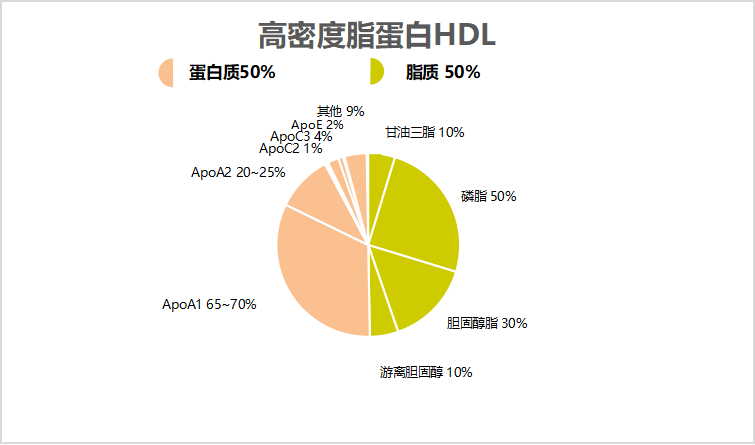 目前用於臨床檢測的主要有載脂蛋白a(apoa),載脂蛋白b(apob),載脂蛋白