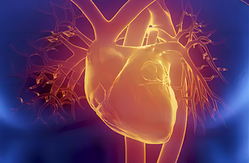 心肌系列：CK-MB的质量法与活性法检测